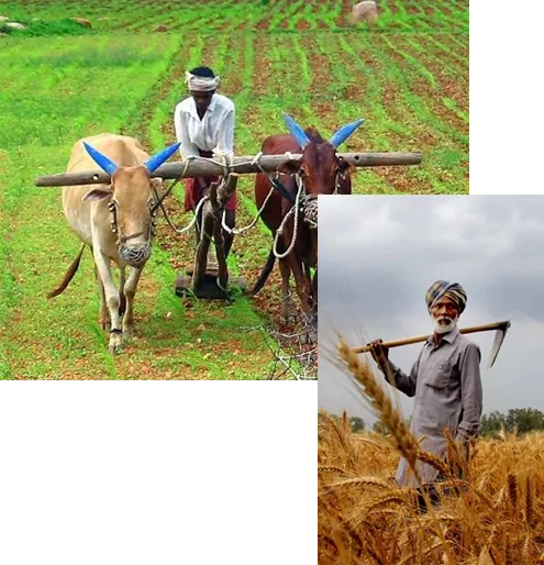 प्रधानमंत्री किसान समृद्धि योजना टोल फ्री नंबर,