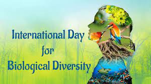 International Day for Biological Diversity