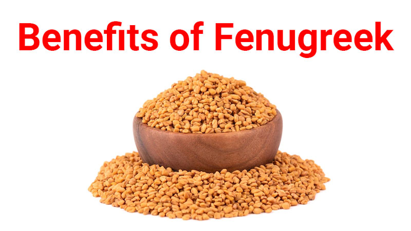 Benefits-of-Fenugreek