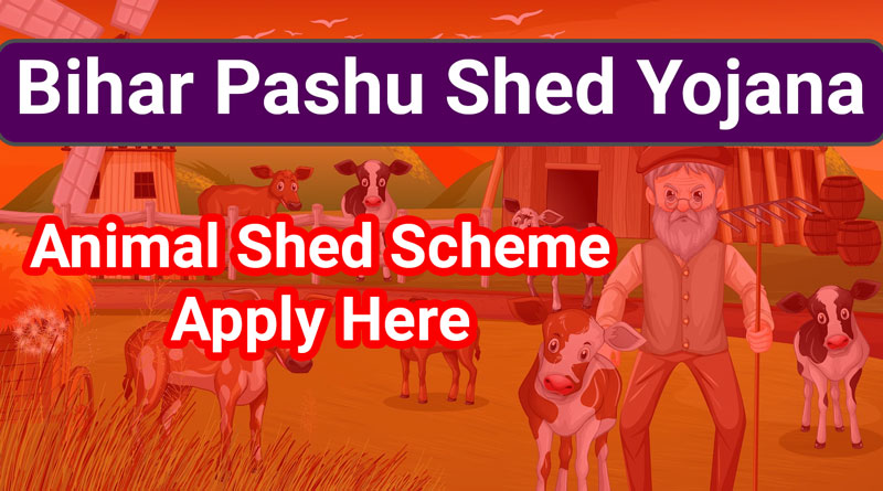 Bihar Pashu Shed Yojana 2022-MGNREGA Animal Shed Scheme: Apply Here - Vijay  Solutions