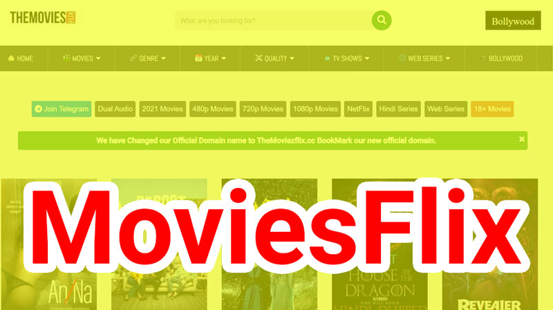 MoviesFlix---South-Bollywood-Hindi-Movies-Download