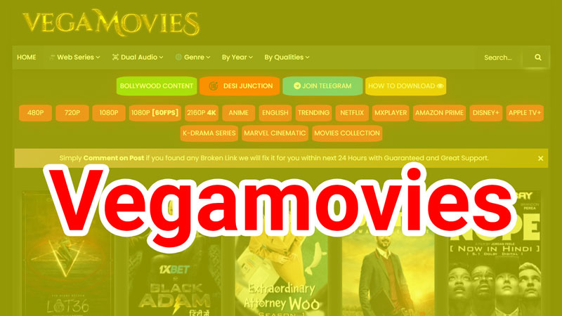 Vegamovies 2023 Download Telugu, Tamil Hindi Dubbed 300MB 480p 720p - Vijay  Solutions