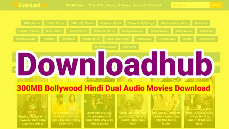 Downloadhub-VIP-300MB-Bollywood-Hindi-Dual-Audio-Movies-Download