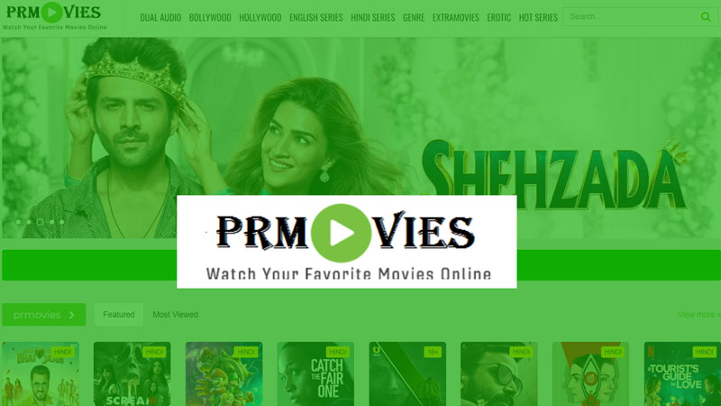 Prmovies-download-online-web-series-movie-link