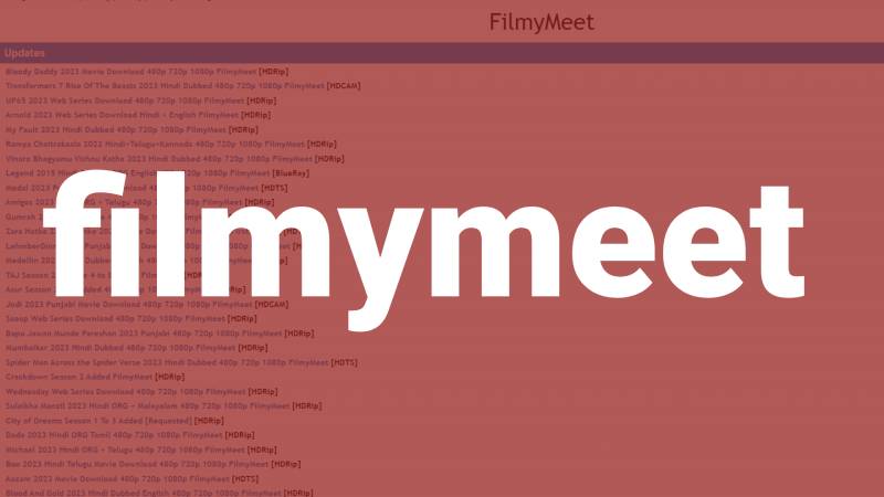 filmymeet-movie-download-in-hindi-apk