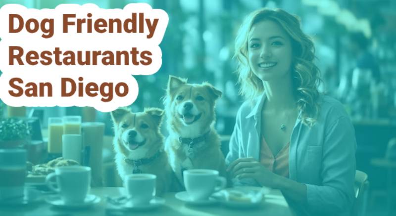 Dog Friendly Restaurants San Diego