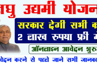 Bihar-Laghu-Udyami-Yojana-2024-Online-Apply-Step-By-STEP